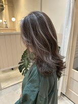 シダ(sida)&nbsp;コントラストハイライト