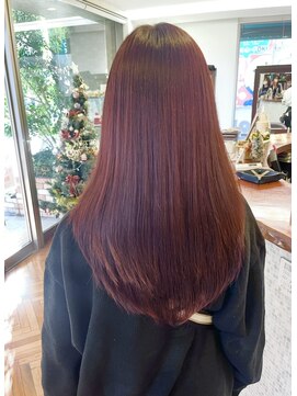 ルシア(LUCIA) Xmas Rose pink