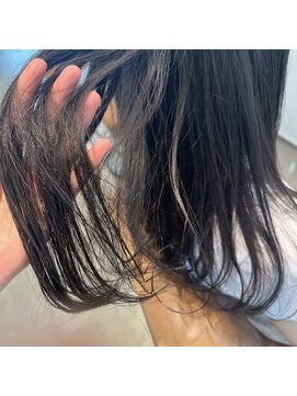 センスオブワンダー(SENSE OF WONDER) ネイビーグレー