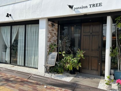パッションツリー(Passion TREE)の写真