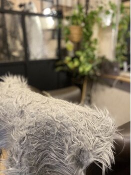 スノードロップ(SNOW DROP)の写真/慌ただしさのない時間を大切に！同時に多くのお客様をお迎えしないマンツーマンプライベートサロン