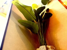 ヘアーサロン 縁の雰囲気（落ち着いた大人の雰囲気漂うサロンです♪）