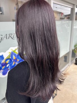 ネリネ(Nerine) バイオレット