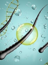 ケラチン【髪の強度・弾力向上】潤いを与えハリ・コシアップ！