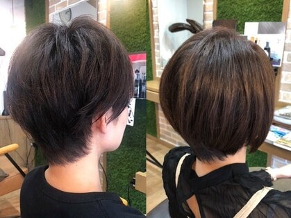 ファイブ リーフ クローバー(five leaf Clover)の写真