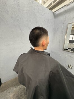 バーバークラン(Barber clan)の写真/Cut