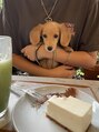 ダンス 渋谷(DANCE) ワンちゃん2匹飼ってます♪