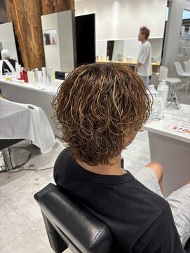 ルーストデラックス 京都河原町三条(ROOST dx) サーフカール