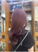 ピンクラベンダー