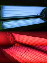 ロイヤルオーダー 日サロ 2