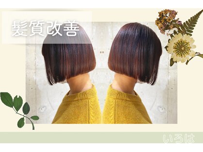 いろはの写真