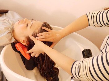 美容室 ブランシュ(Blanche)の写真/五感に響く★スパニストによる癒しのヘッドスパ COTA取り扱い店