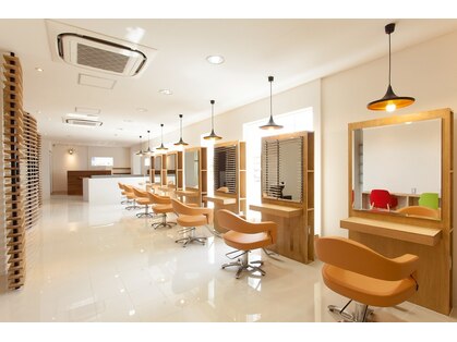 ヤマギワ(yamagiwa)の写真