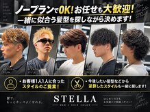 ステラ(STELLA)の雰囲気（したい髪型がなくても大丈夫！あなたに沿った髪型を探します！）