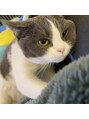 ロランス(LORANCE) 愛猫のふふです。よく利用してる旅館の名前からもらいました♪