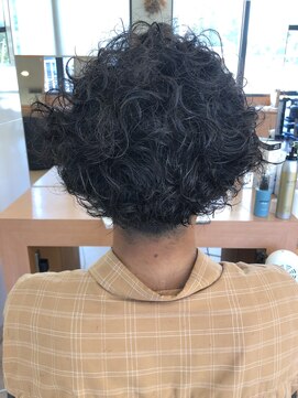 シャンプーボーイ ヒノ(SHAMPOO BOY Hino) プードルパーマ