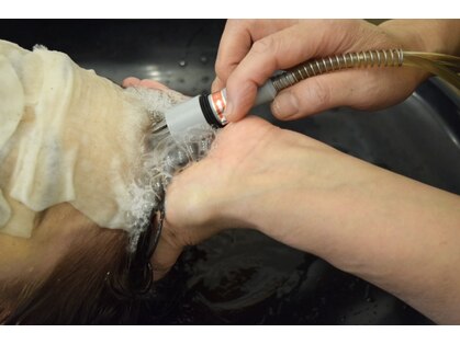 クローバーリーフ(Clover Leaf)の写真