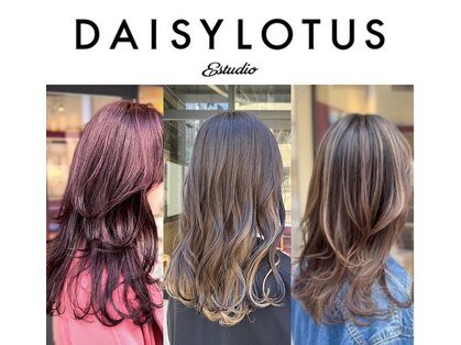 デイジーロータス(DAISYLOTUS)の写真