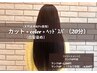 【11月限定】cut + 白髪染め【92％天然由来】 + headspa（20分）￥16,500→