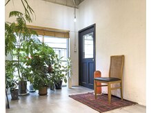 つむじの雰囲気（やさしい日差し、グリーンとナチュラルの心安らぐ空間です）