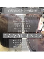 バグジー 黒崎(BAGZY) 白髪改善「ワダカラー」