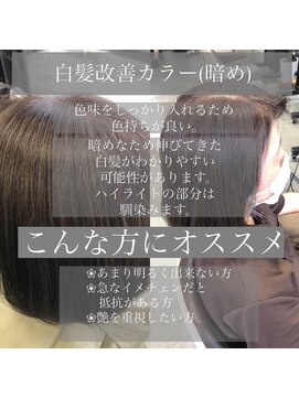 バグジー 黒崎(BAGZY) 白髪改善「ワダカラー」