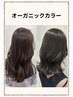 【頭皮と髪に優しい】オーガニックHカラー ￥13200
