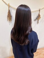 ルヴェール 本店(LeVert)&nbsp;ラベンダーブラウン