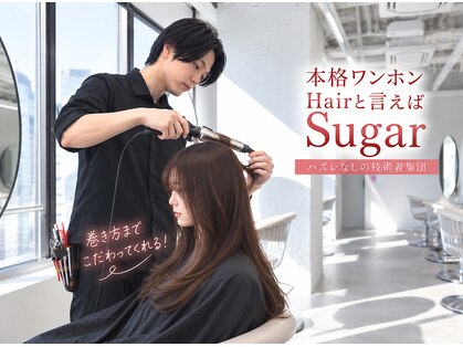 シュガー(Sugar)の写真