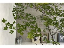 無機質の中に沢山の植物を。