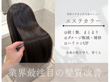 エレノア アネックス 枚方(Eleanor ANNEX)の写真
