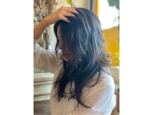 ブラウンヘアー(BROWN HAIR)