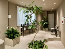 ビアス(VIAS)の雰囲気（    大人女性が心からくつろげる空間）