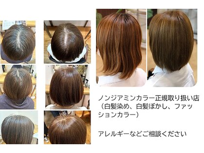 アッソ(ASSO)の写真