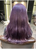 ラベンダー