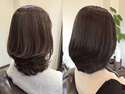 ココ(Coco)の写真