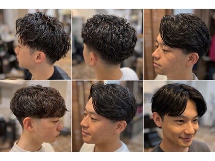 フィールドヘアーの写真