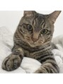 シェーヌ(CHAINE) 猫を飼ってます動物が好きで色々なところに触れ合いに行きます