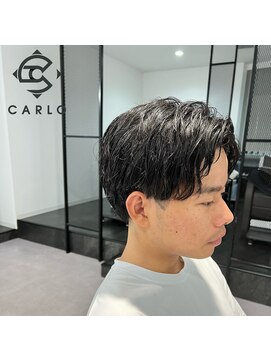 カルロイースタイル(CARLO e-style) 重ためロクヨンパート
