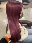 ピンクパープル(全頭ブリーチ)