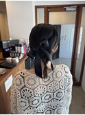 ヘアセット