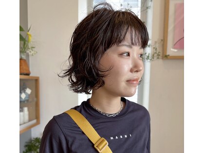 セピア(Sepia)の写真