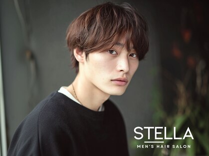 ステラ(STELLA)の写真