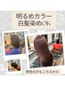 【いつも綺麗に♪】根元染め＋カット＋ミストトリートメント￥8800