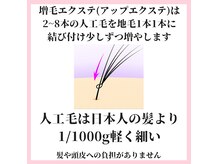 プラスフォーの雰囲気（一本の地毛に2~8本の人工毛を結びつけ地毛を3~9倍ボリューム+！）