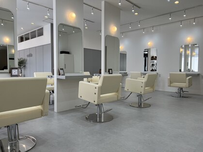 アグ ヘアー カルデ むつ2号(Agu hair calde)の写真