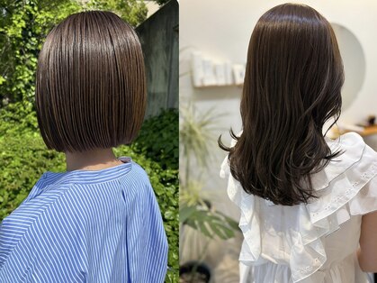 リノ(Lino)の写真