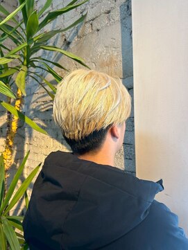 ルシードスタイル プルス(PLUS) ダブルカラー