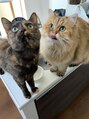 ルーム 大和店(ROOM)&nbsp;二匹の猫と暮らす日々！　毎日疲れを癒して貰っています。