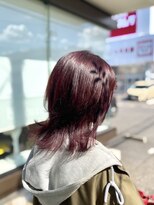 アレーズバイベニボンズ(Alaise by Beni,Bond's)&nbsp;ブリーチなしボルドーカラー